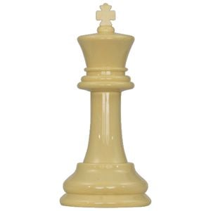 Plastic White King - From A 20cm Set