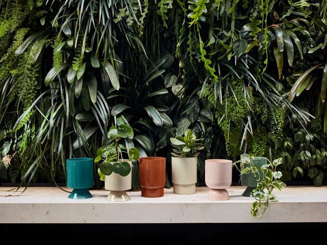 pot range
