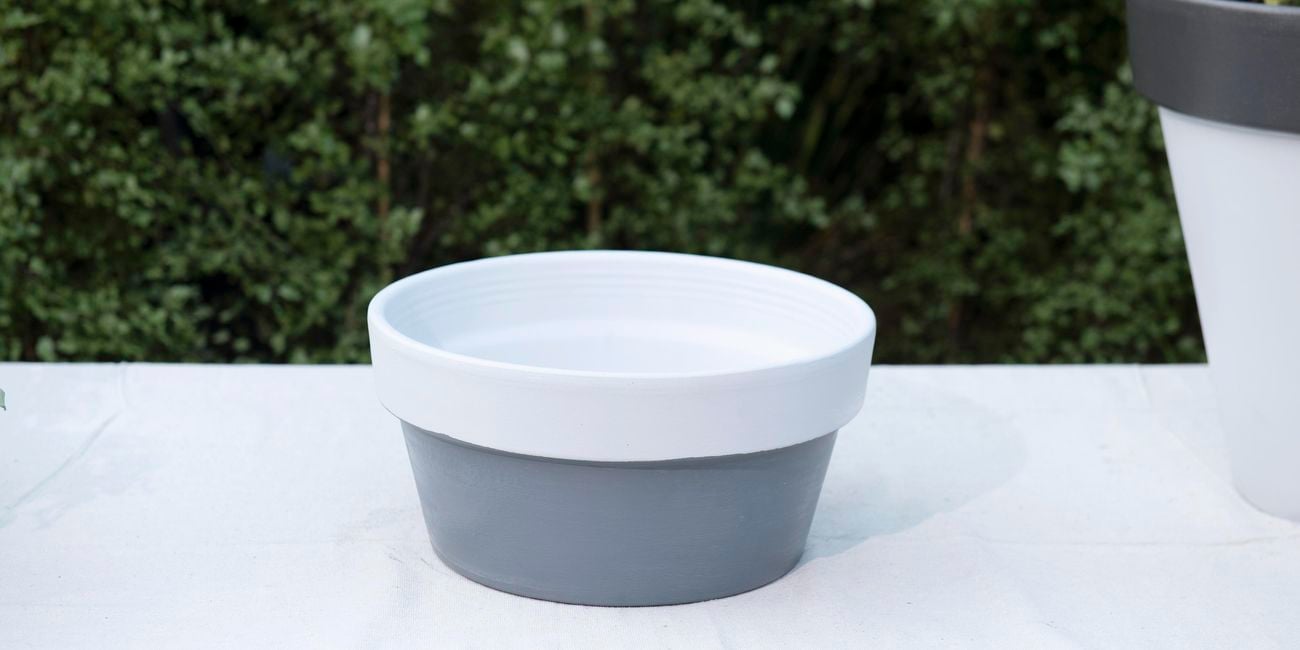 white and grey terracotta pot