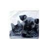 Dog & Cat Square Cushion Cover