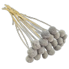 Blooms Of Joy 50cm Grey Billy Button Flowers