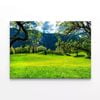 Sommerwiese with Mountains  Print 100% Australian Made 150 x 100cm  (Stretched)