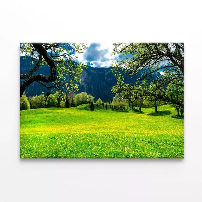 Sommerwiese with Mountains  Print 100% Australian Made 150 x 100cm  (Stretched)