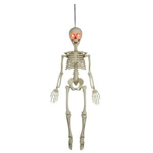 Halloween Decorations