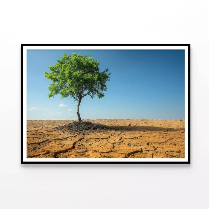 Tree Is Standing  Print 100% Australian Made 90x60cm  (Poster)
