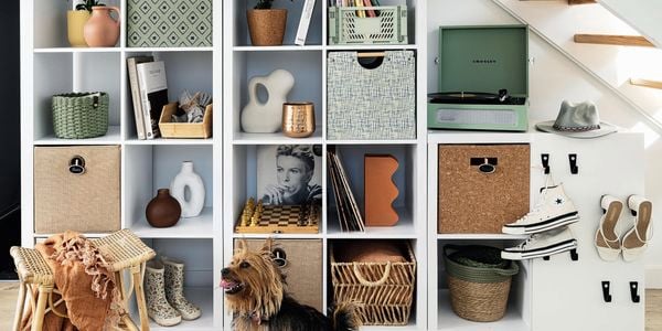 Shelving unit underneath a staircase, with baskets, pot plants and a dog in front of the shelving.