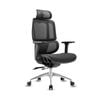 Miuz Office Chair Executive Computer Chairs Study Mesh Lumbar Back Recliner Seat