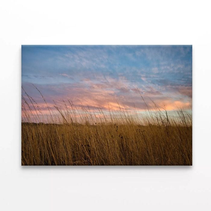 Sunset over Grasses with Sky  Print 100% Australian Made 90 x 60cm  (Stretched)