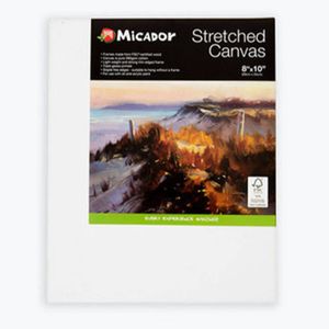 Micador Stretched Canvas (203x254mm)