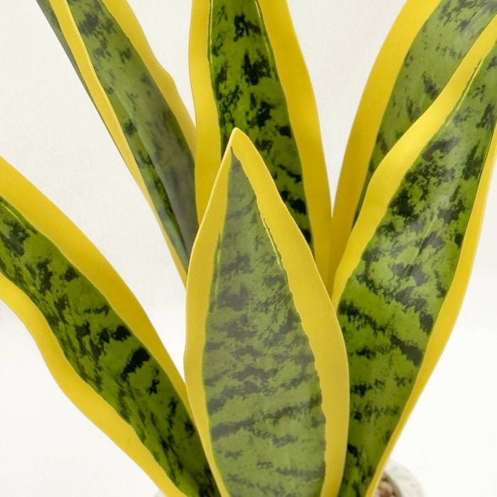UN-REAL 40cm Green Snake Artificial Plant - Bunnings Australia