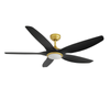 Eli & Co. Lighting Aero 60'' DC Ceiling Fan with 3CCT LED Light & Remote Timer - Black