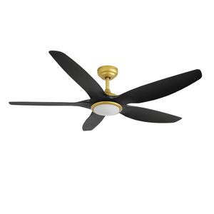 Eli & Co. Lighting Aero 60'' DC Ceiling Fan with 3CCT LED Light & Remote Timer - Black