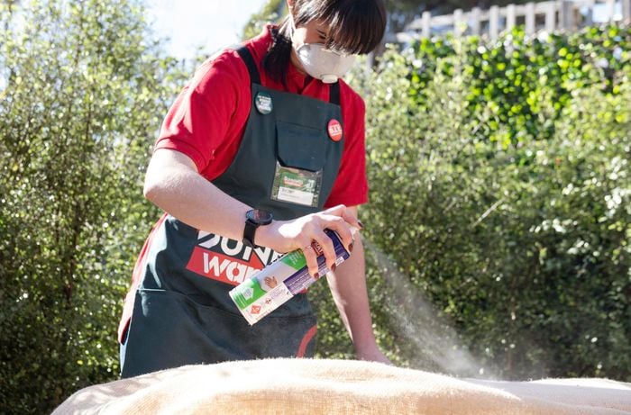 Person spraying hessian with adhesive.