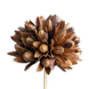 Blooms Of Joy 10cm Natural Sola Magnolia Flower