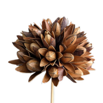 Blooms Of Joy 10cm Natural Sola Magnolia Flower