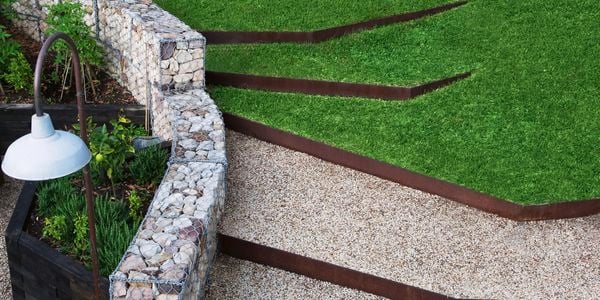 plant bulbs sitting on soil