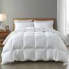 Casa Decor Silk Touch Quilt 360gsm Antibacterial Hypoallergenic White King