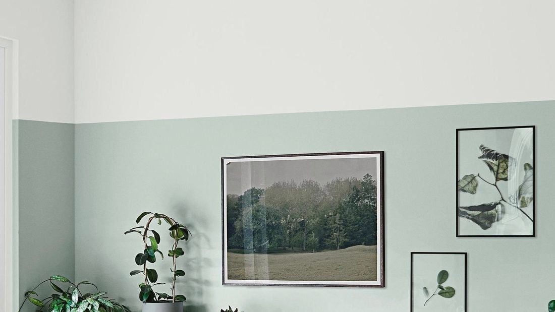 Living room with mint green painted wall, seating and indoor plants