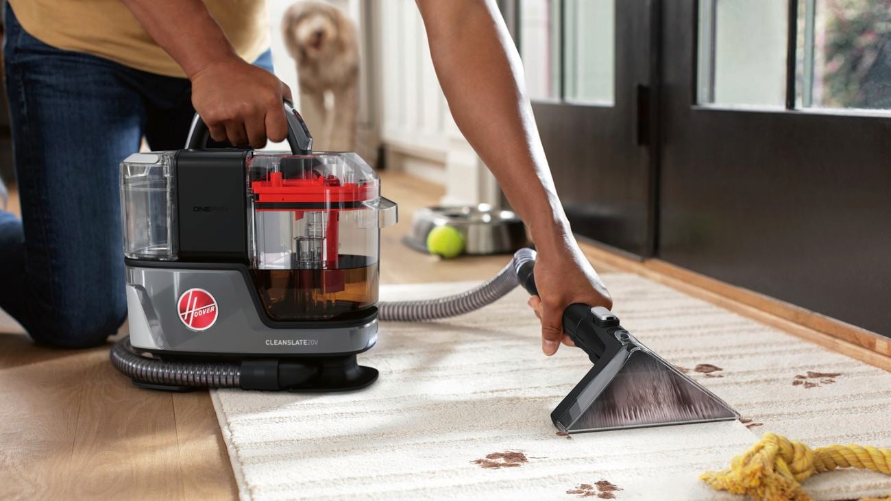 Close up of person vacuuming dirt off carpet