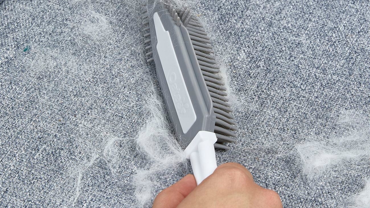 Hand using grey brush to clean pet hair of couch