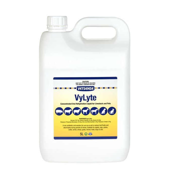 Vetsense VyLyte Concentrated Oral Rehydration Liquid for Livestock & Pets 5L