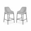 Dorris 2pc Set Bar Chair Barstool Light Grey