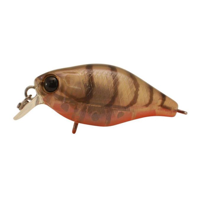 Jackall Chubby 38 Shallow Hard Body Fishing Lure Brown Suji Shrimp