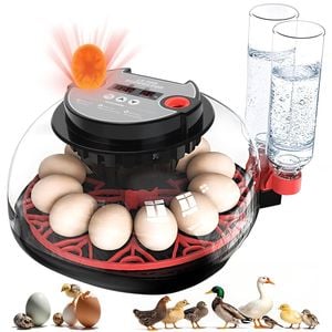 Advwin Automatic 12 Eggs Incubator with Egg Candler