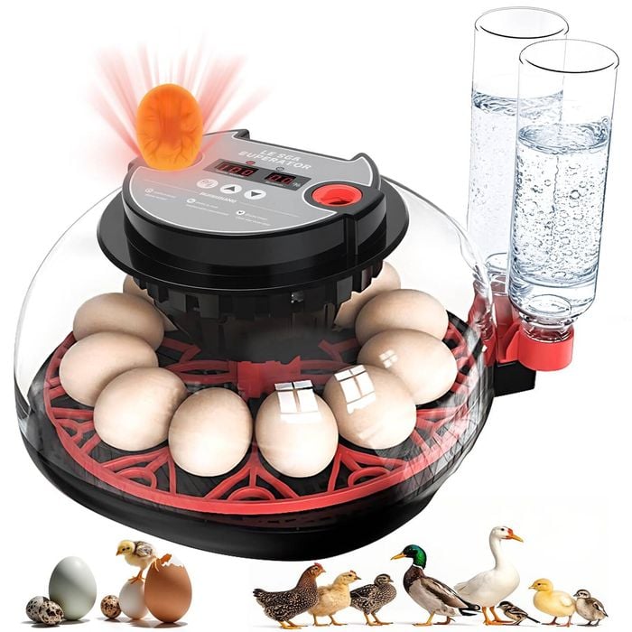 Advwin Automatic 12 Eggs Incubator with Egg Candler