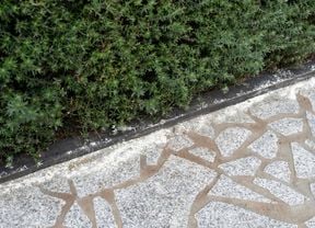 Pest dust is applied along the edge of the garden bed and pavement.