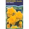Daffodil Dick Wilden - 5 Bulbs