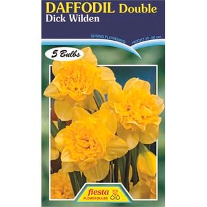 Daffodil Dick Wilden - 5 Bulbs