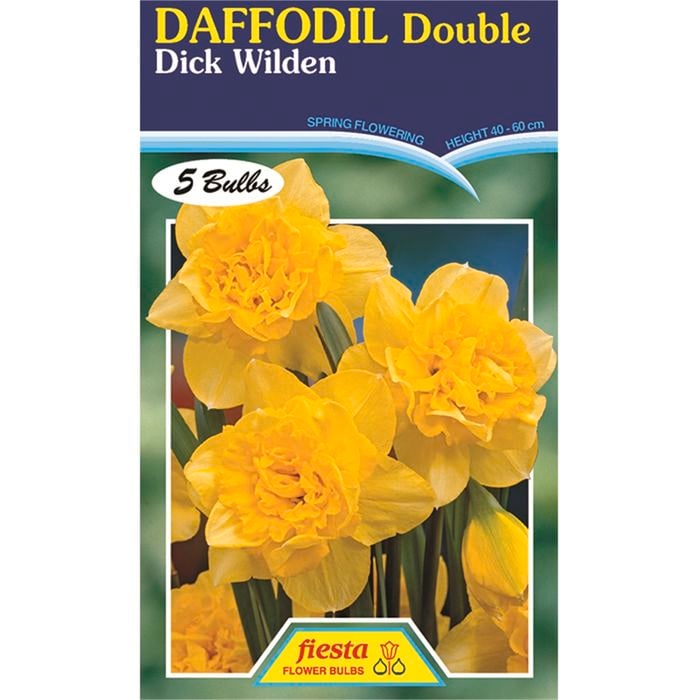Daffodil Dick Wilden - 5 Bulbs