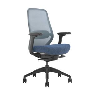Desky CoilFlex Ergonomic Office Chair without Headrest