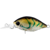 Daiwa 2020 Infeet Rolling Crank MR 32mm Floating Crankbait Fishing Lure Blue Suji Prawn