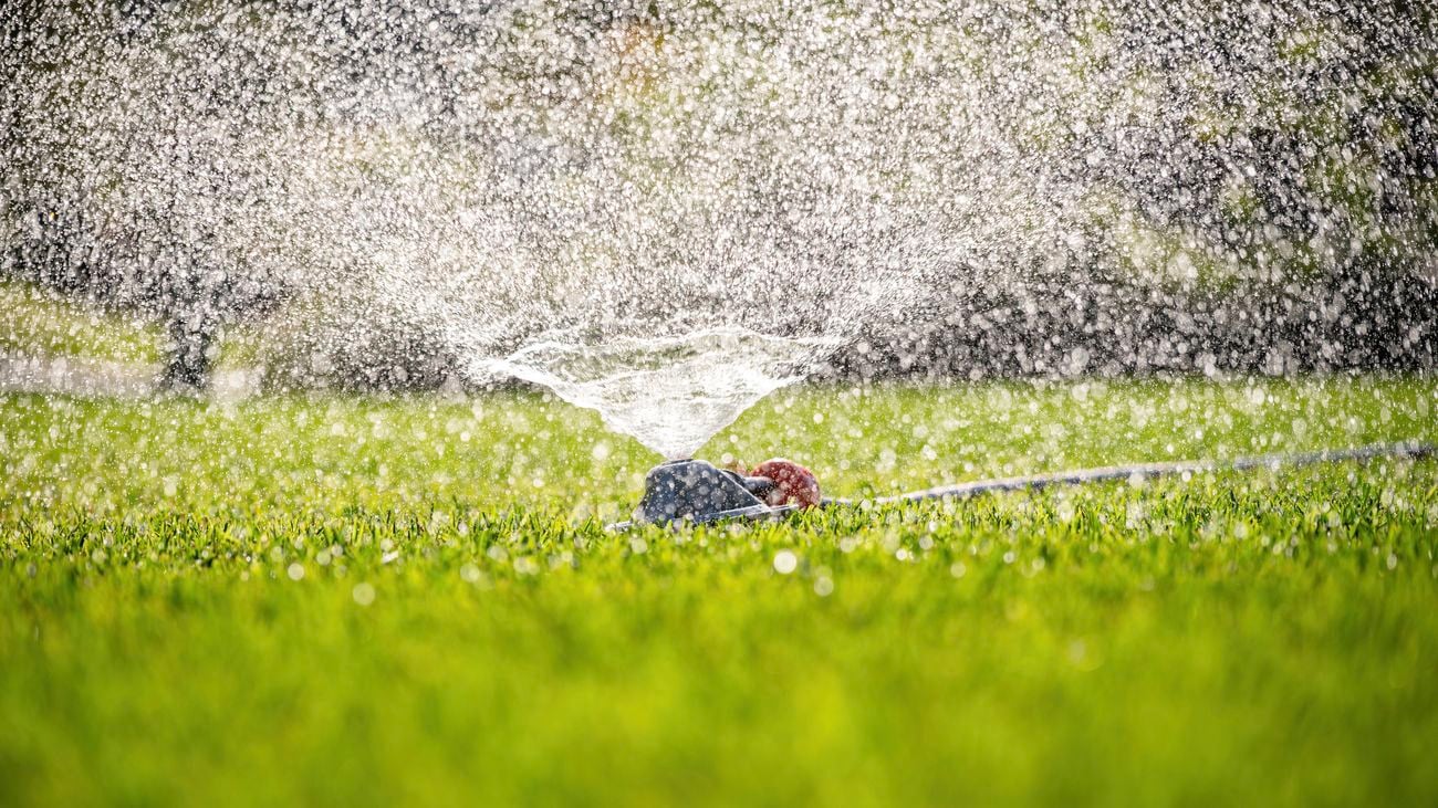 Spring lawn watering care