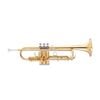 John Packer JP351SW LT Bb Trumpet Student Choice Instrument - Brass Lacquer