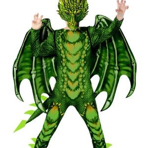 Deluxe Mythical Boys Green Dragon Costume - Large