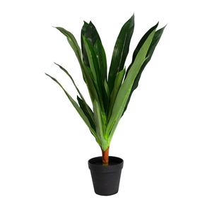 UN-REAL 50cm Artificial Dracaena Plant