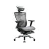 SIHOO V1 Office Chair with Premium Mesh Seat Headrest Armrest Lumbar Support and Footrest  (Grey)