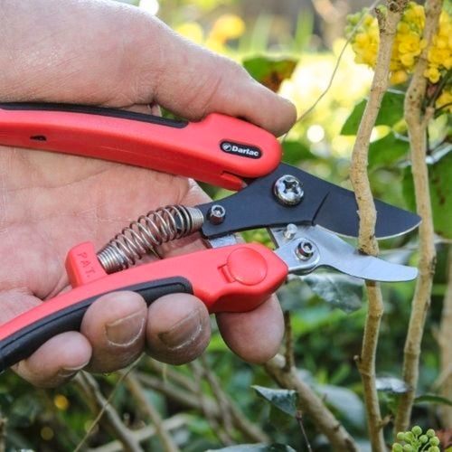 Darlac - Gallery - 5. Darlac Compound Action Pruner - Brand Page