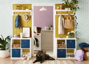 Storage cubes against a wall inside a room and a dog sitting in front.