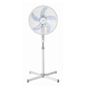 Fans