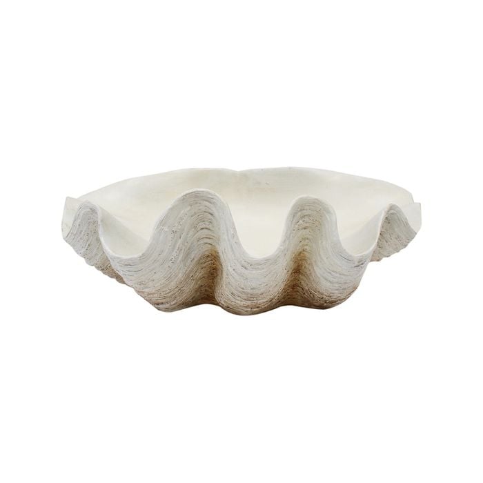 Decorative 53cm Resin Clam Shell/Trinket Decor XL - White/Beige