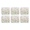 Ashdene Wildflowers Set Of 6 Coasters