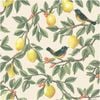 Lemon Tree Cream, Wallpaper 10.05m x 53cm Wallpaper Boutique