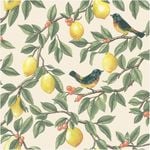Lemon Tree Cream, Wallpaper 10.05m x 53cm Wallpaper Boutique