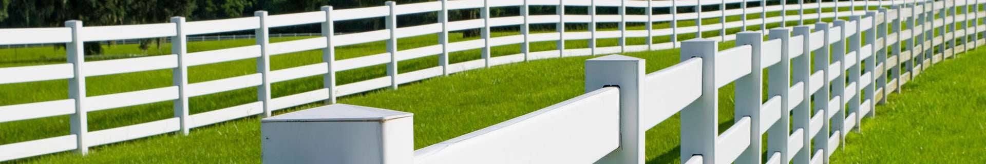 Paddock with white picket fencing.