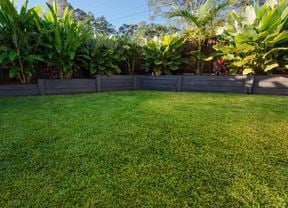 Spring into action: Your ultimate guide to lush lawn care