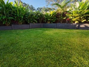 Spring into action: Your ultimate guide to lush lawn care